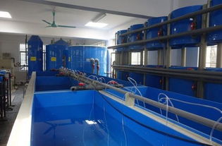 广东省海洋工程职业技术学校养殖科实训设施风采展示